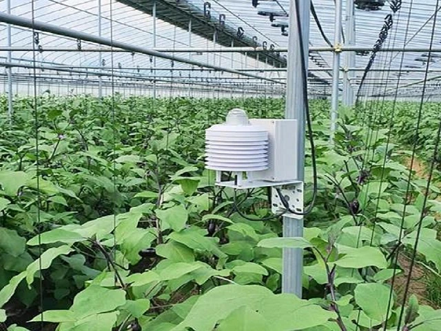 Display Challenges in Smart Farms Display Challenges in Smart Farms