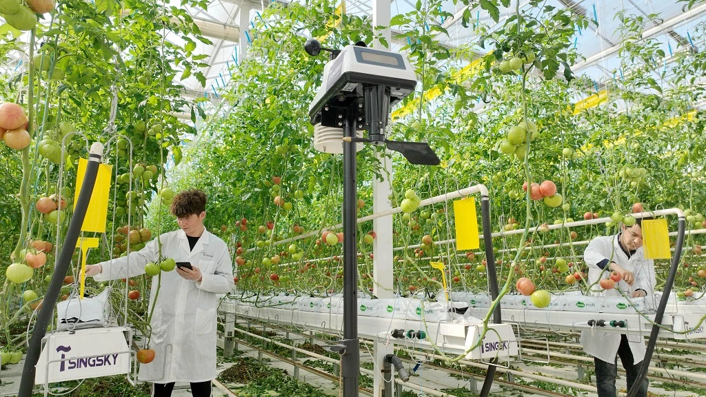 Benefits Of Using LED Displays Benefits Of Using LED Displays