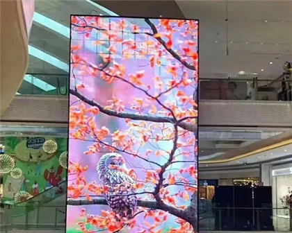 STP Transparent LED Display Empower Diverse Scenarios