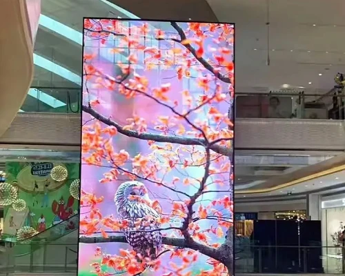 STP Transparent LED Display Empower Diverse Scenarios